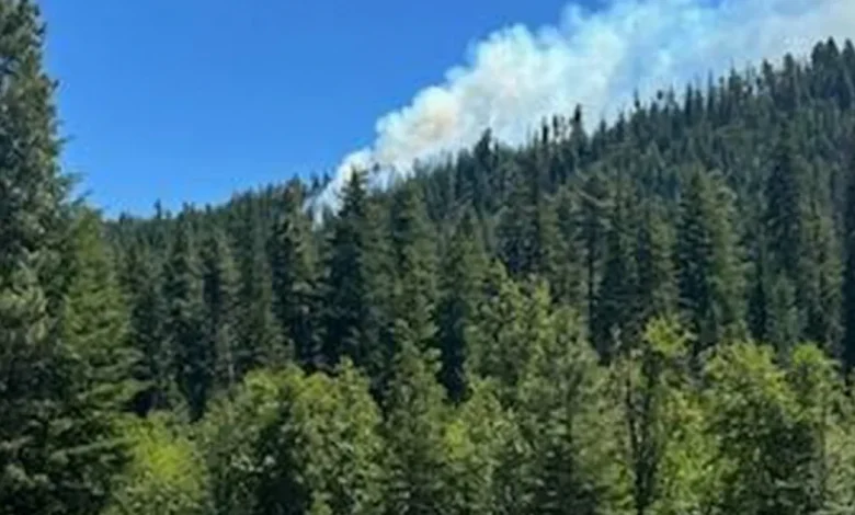 Pilot ejects before fighter jet crashes into mountain in Washington state woodlands