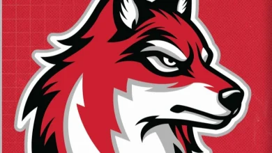 Pittsburgh-Area University Changes Sports Teams' Name, Logo