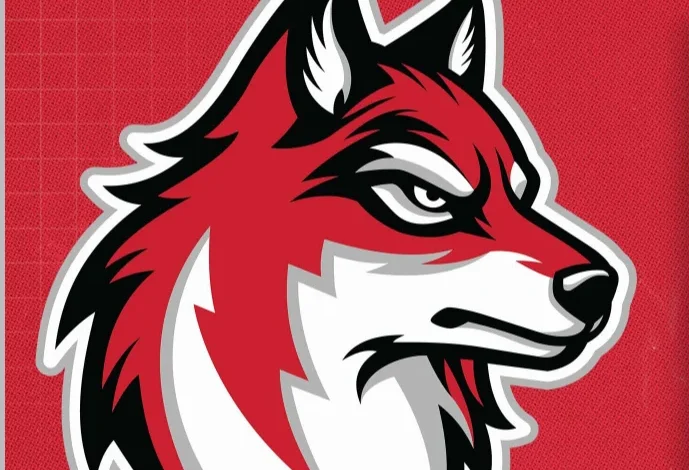 Pittsburgh-Area University Changes Sports Teams' Name, Logo