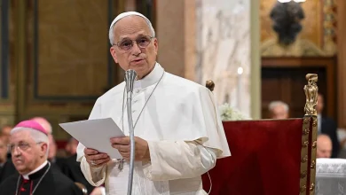 Pope Leo invokes patron saint of immigrants as friction with Trump intensifies