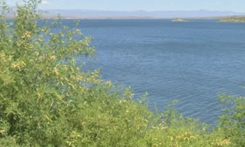 Popular lake closes after dam release kills 'approximately 100% of fish population'