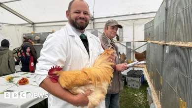 Poultry return to show after bird flu disruption