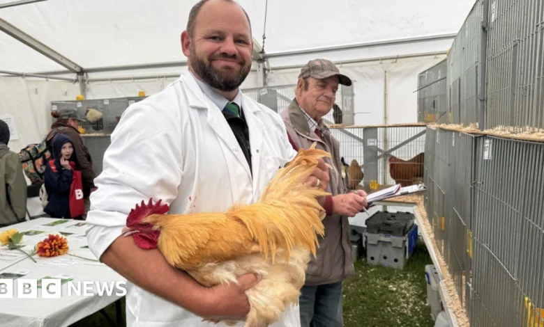 Poultry return to show after bird flu disruption
