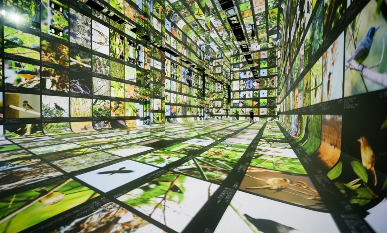 Powering the world’s first AI arts museum