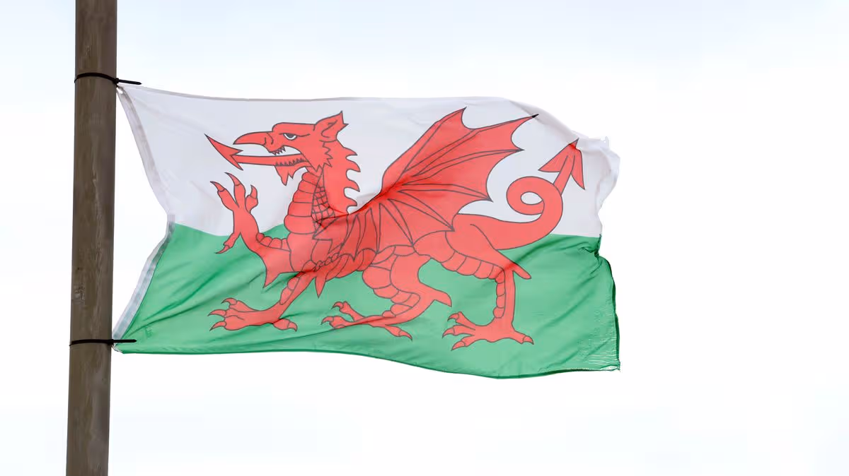 Red Dragon row as campaigners demand removal of flags from lampposts