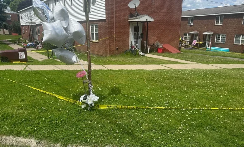 Relatives of family found dead in Mechanicville pleads for answers, not assumptions