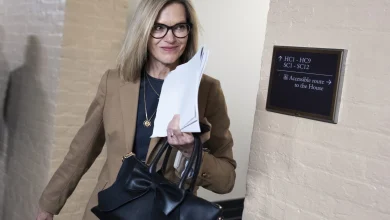 Republicans introduce REAL ID bill to sneak parts of SAVE America Act past Senate