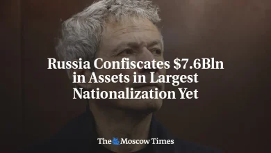 Russia Confiscates $7.6Bln in Assets in Largest Nationalization Yet