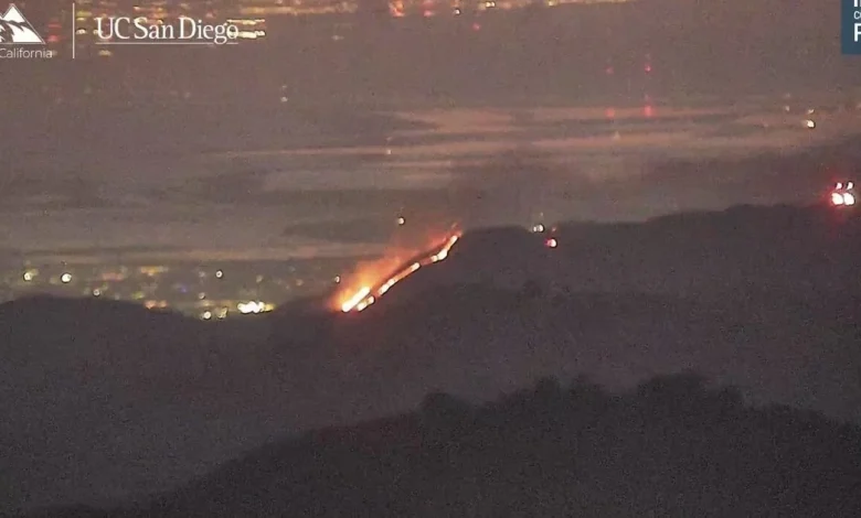San Jose firefighters battling vegetation fire in east foothills