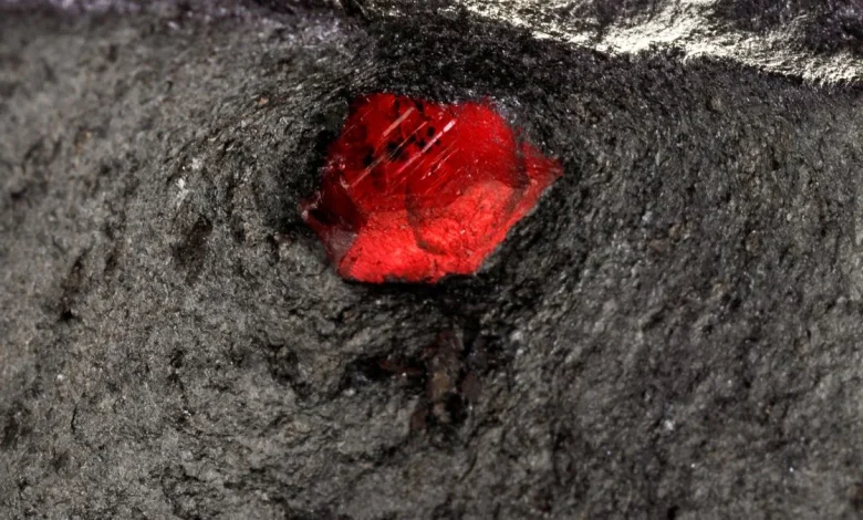 Scientists Cracked Open a Mars Meteorite And Found a Big Surprise