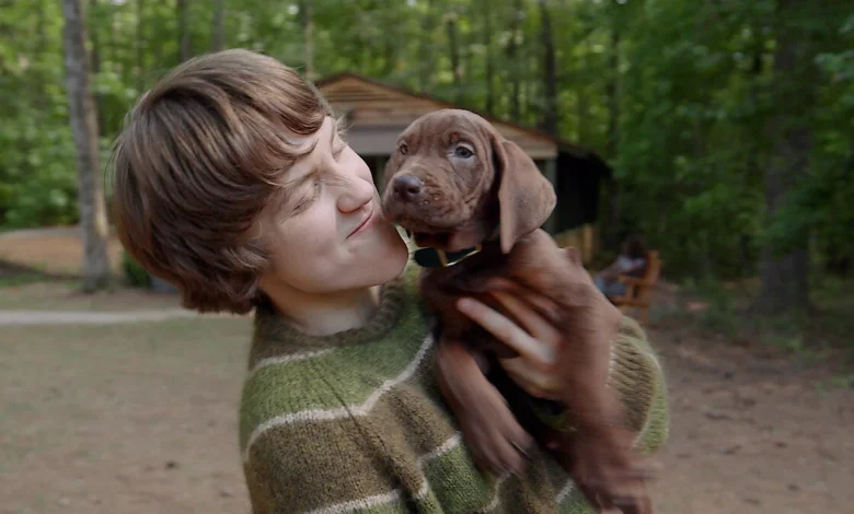 Scooby-Doo Is a Real Great Dane for the First Time Ever in Scooby-Doo: Origins