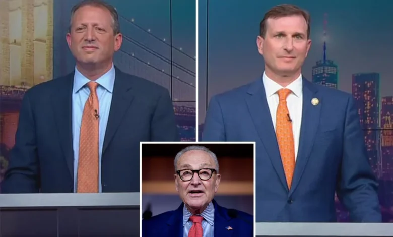 Sen. Chuck Schumer thrown under the bus during Goldman, Lander House debate