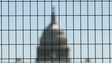 Senate blocks extending key surveillance program following backlash over Trump pick to lead intel