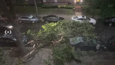 Severe weather in NYC area brings hail, damaging winds