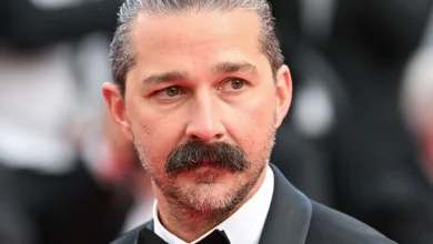Shia LaBeouf Pleads Guilty To Punching People During Mardi Gras
