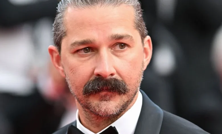Shia LaBeouf Pleads Guilty To Punching People During Mardi Gras