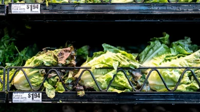 Soaring prices for coffee, lettuce and more are driving up inflation