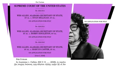 Sonia Sotomayor exposes the Supreme Court’s latest voting rights lie.