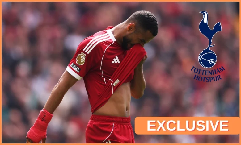 Sources: Tottenham prepare Cody Gakpo transfer offer to Liverpool, two other clubs lurking