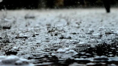 Southeast Michigan storms move in Tuesday