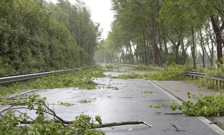 Storm Damage Closes Centennial Beach, Impacts Other Parks In Naperville