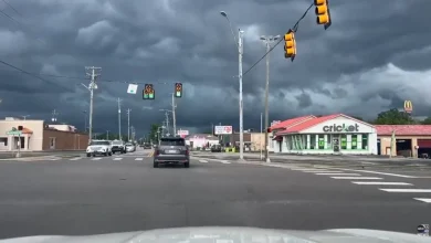 Storms Cause Downed Trees, Power Outages, Hazardous Roadways Across Central Alabama