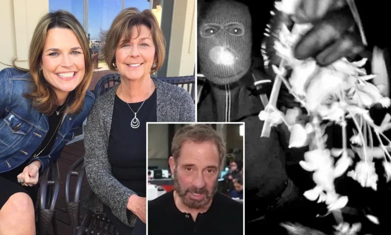 TMZ boss says he was prepared to pay Nancy Guthrie ransom to help case — but FBI 'ghosted' him