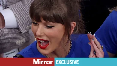 Taylor Swift's seven-word comment to fan who was shoved away by security