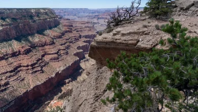 Teen dies after showing symptoms of heat-related illness on Grand Canyon hike