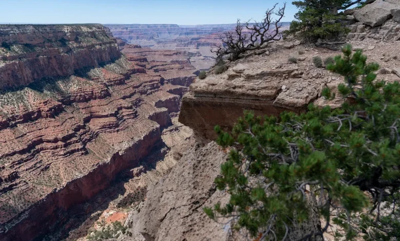 Teen dies after showing symptoms of heat-related illness on Grand Canyon hike