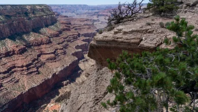 Teen dies after showing symptoms of heat-related illness on strenuous hike through Grand Canyon