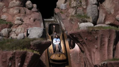 Teen falls 50 feet on Disneyland ride; state finds no operational issues