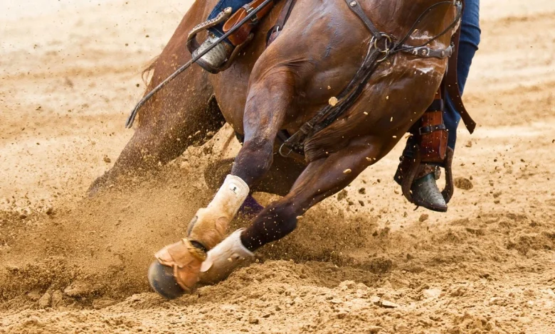 Teenage competitor accused of stabbing horses at Las Vegas barrel racing event, police say