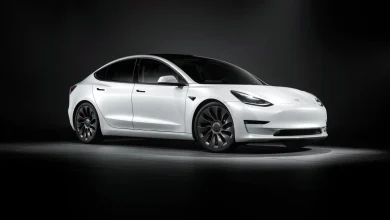 Tesla Launches FSD V14-Lite: First Impressions