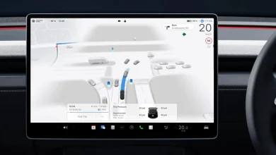 Tesla Starts Rolling Out FSD V14 in Australia & New Zealand