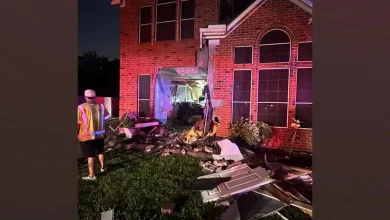 Tesla allegedly in autopilot mode crashes into house, woman killed: Investigators