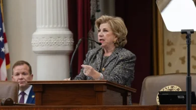 Texas Secretary of State Jane Nelson stepping down