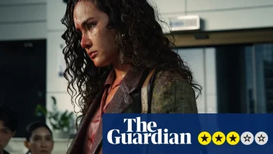 The Evil Lawyer review – gripping, twisty and ludicrously hammy