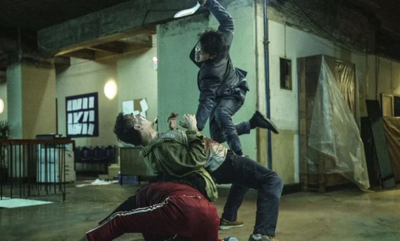 The Furious review: An action junkie's balletic dream