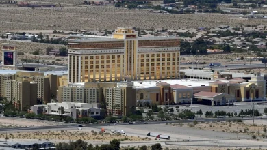 Three horses stabbed at Las Vegas barrel race competition. Teen girl is arrested