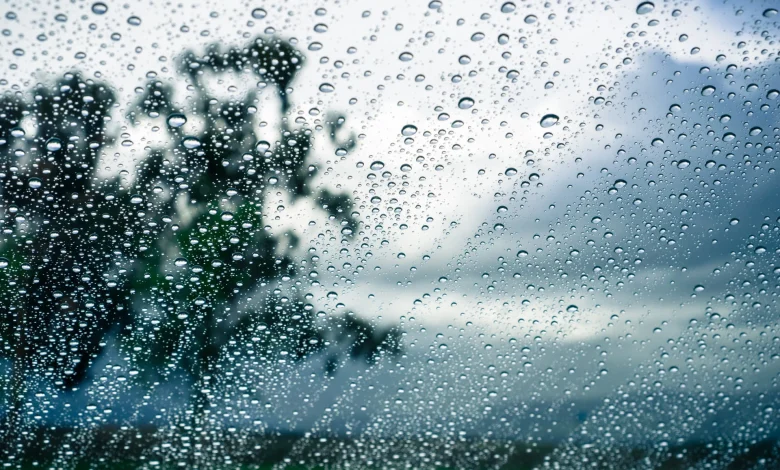 Tomorrow's Weather Calgary (Jun 07): Morning Clear, Afternoon Rain Showers