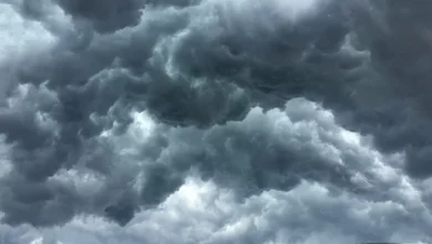 Tomorrow's Weather Toronto (Jun 21): Morning Clear, Afternoon Rain Showers