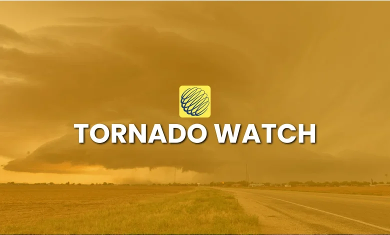 Tornado watch issued on the Prairies amid multi-day severe storm threat