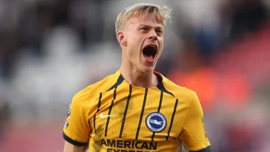 Tottenham Hotspur make offer for Brighton & Hove Albion defender Jan Paul van Hecke - The Athletic