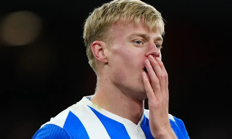 Tottenham have signed Brighton defender Jan Paul van Hecke for £52m.