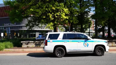 Towson University student shot and killed in downtown Towson Friday