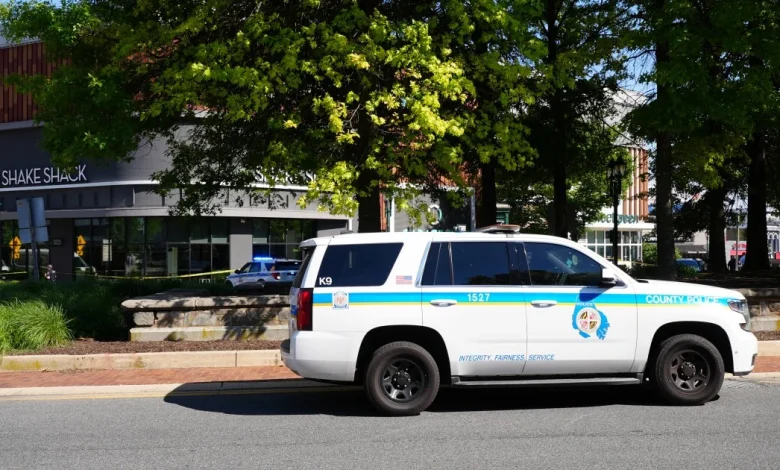 Towson University student shot and killed in downtown Towson Friday