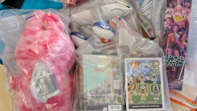 Trading Standards remove over 500 unsafe toys from Cleethorpes