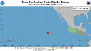 Tropical Storm Amanda forms in Pacific, first named storm of season