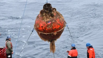 Trump Administration to Dismantle the Ocean Observatories Initiative